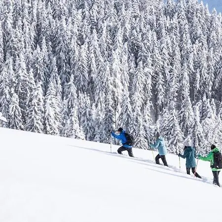 Appartamento In Zillertal Near Spieljochbahn Fügen
